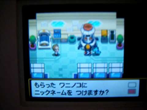 ポケモン　ウツギ博士研究所で色違いワニノコＧＥＴ！