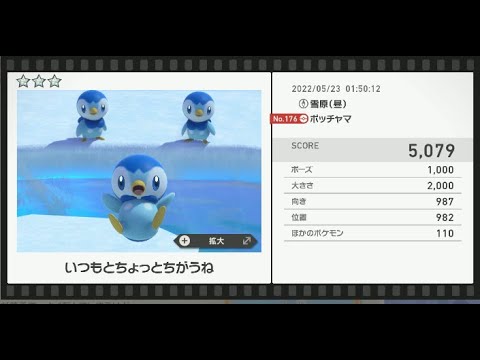 Newポケモンスナップ　★3ポッチャマ【5079】