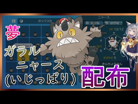 [＃ポケモンSV配布】夢ガラルニャース(ニャイキング)配布します！これでレイド６も余裕だよ！ついでに夢イーブイも？！【#VTuber/白狼マシャ】