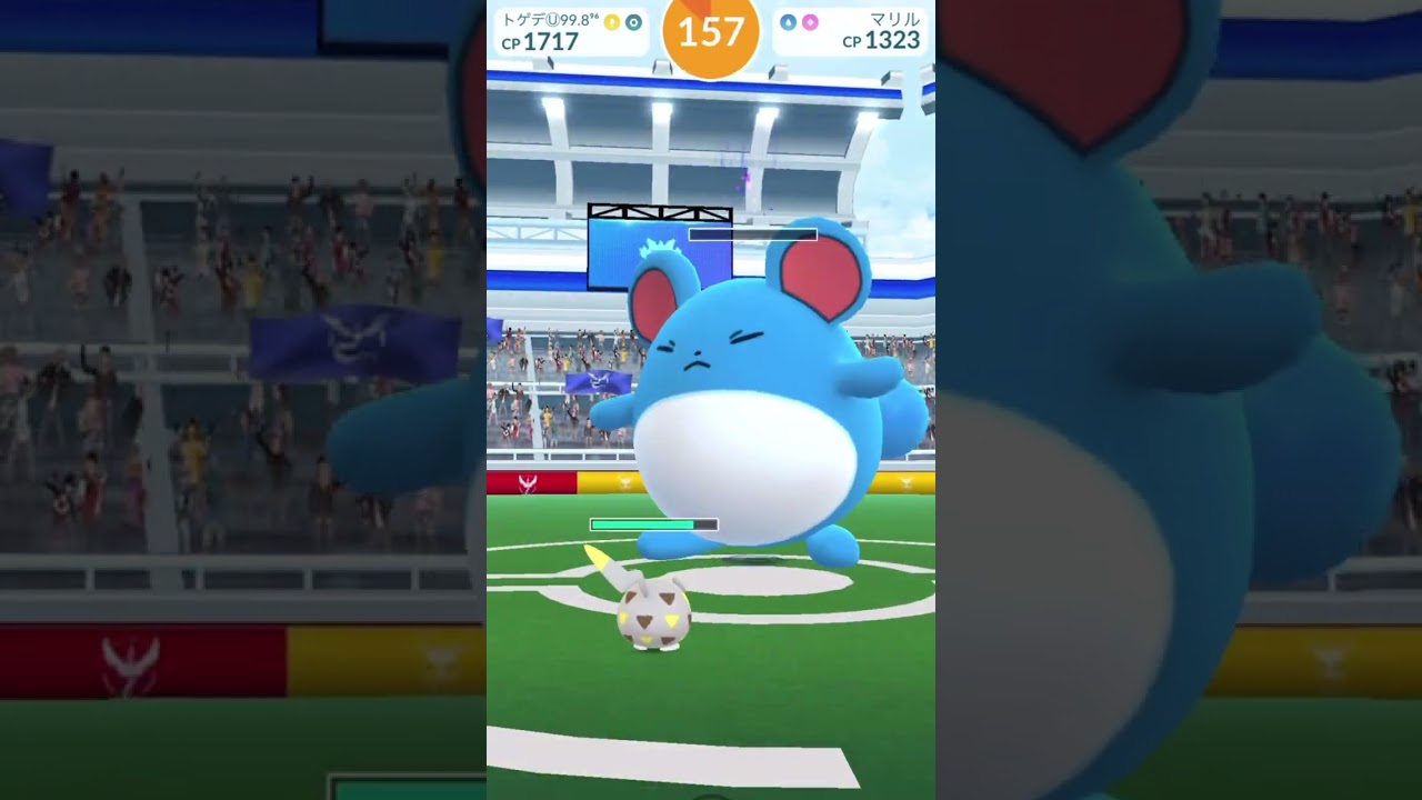 【レイド】今日マリルゲットのチャンス！初心者でも簡単ゲット！#shorts