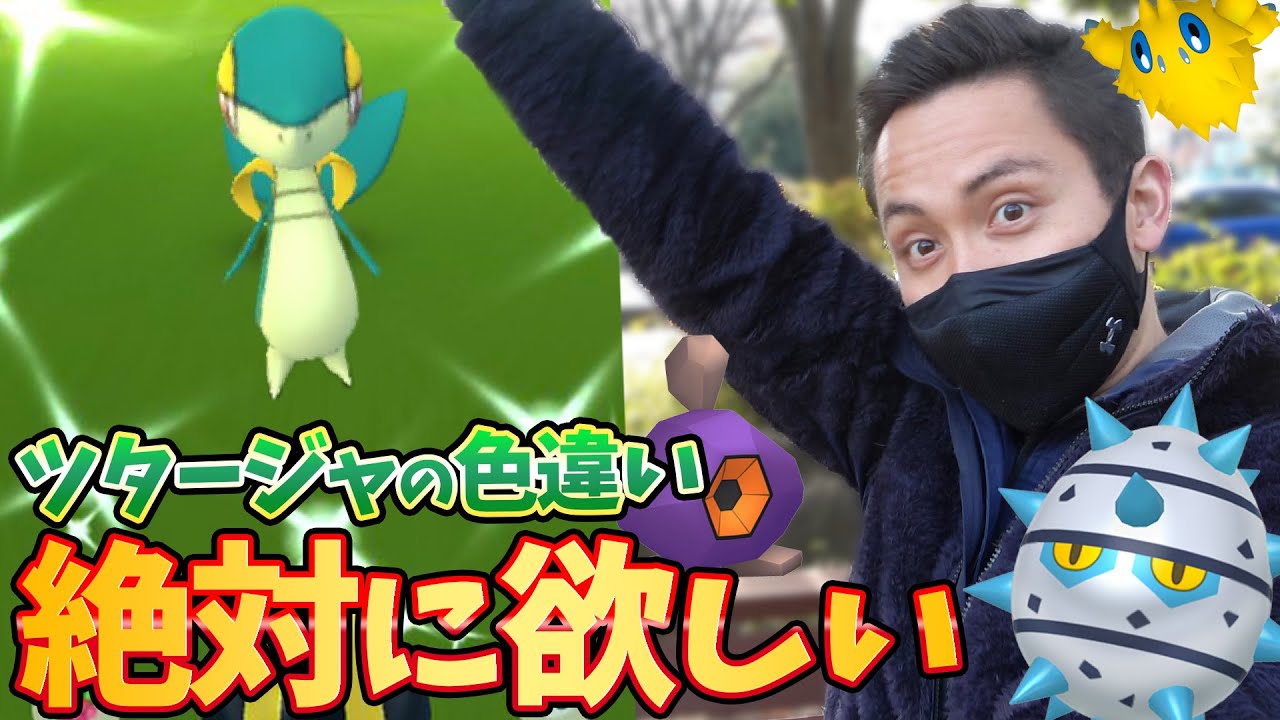 ツタージャ色違い実装！野生のズルッグ！？テッシードも光れ！【ポケモンGO】