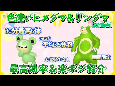 色違いヒメグマ＆リングマ最高効率厳選30分最高６体平均3.5体超3分動画#ポケモンsv #最高効率 #色違い #大量発生不要 #ヒメグマ #リングマ #ピクニックなし #画面固定