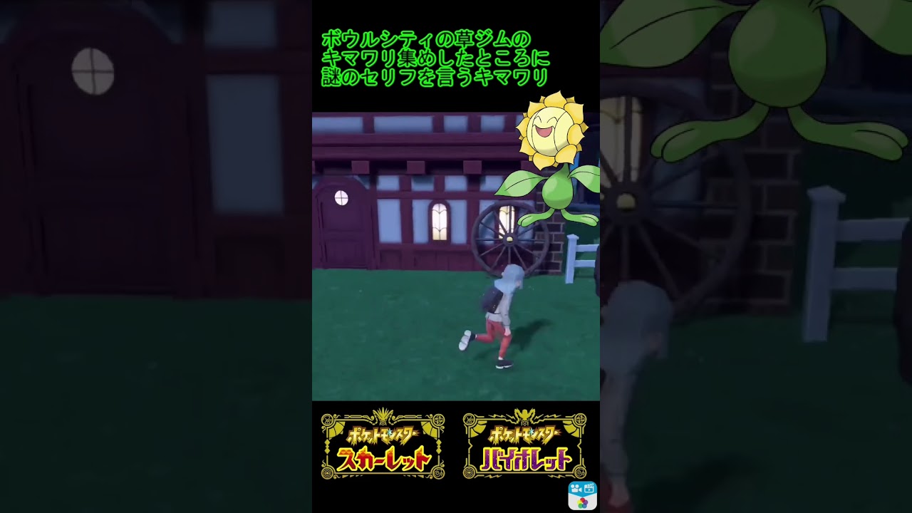 なぞのセリフを言うキマワリ #ポケモンsv #スカーレット #バイオレット #キマワリ