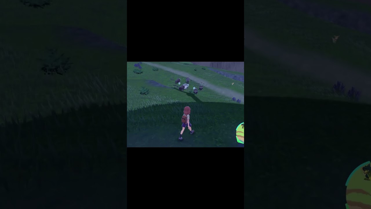 【ポケモンSV】DQNに絡まれるドンファン家族