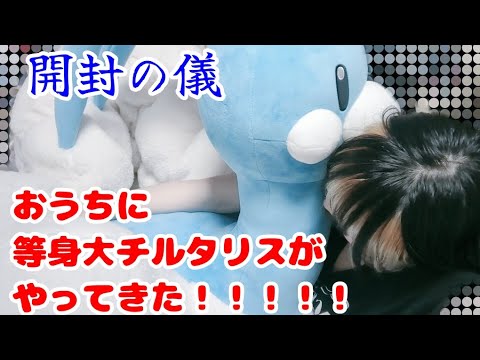 等身大チルタリスとの出会い！