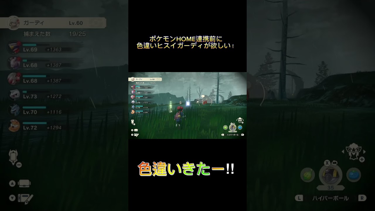 色違いヒスイガーディがどうしてもほしくてポケモンHOME連携前に頑張った！　#shorts #ヒスイ #ポケモンhome