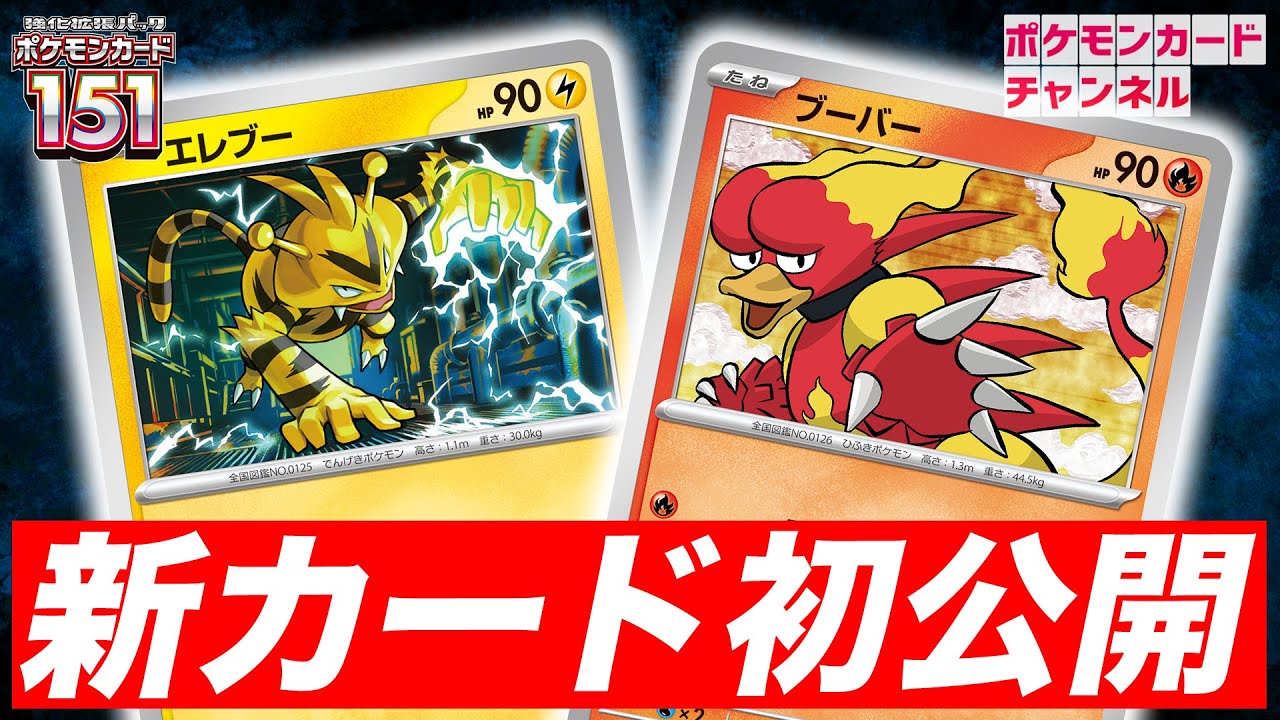 【初公開】2匹揃えばパワーアップ！エレブーとブーバーを解説！【ポケモンカード151】