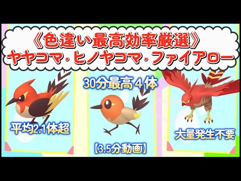 色違いヤヤコマ・ヒノヤコマ・ファイアロー最高効率厳選30分最高4体3.5分動画#ポケモンsv #最高効率 #色違い #大量発生不要 #ヤヤコマ #ヒノヤコマ #ファイアロー