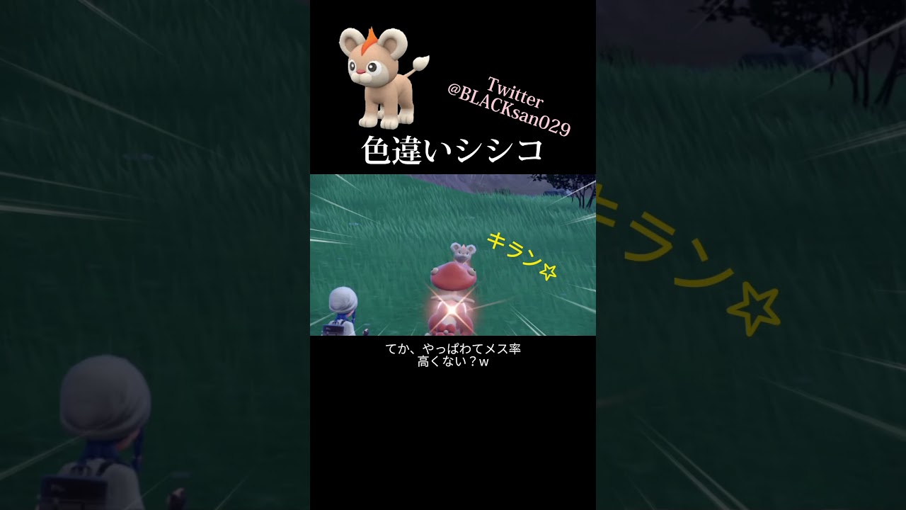 【ポケモンSV】色違いシシコ、カエンジシを求めて #ポケモンsv #ポケットモンスター #色違い #色違い厳選 #ポケモンSV #シシコ #カエンジシ #shorts
