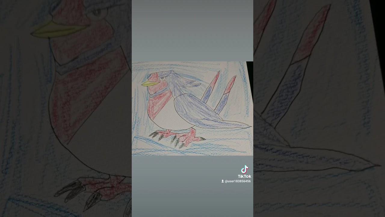 オオスバメ書いてみた！#362