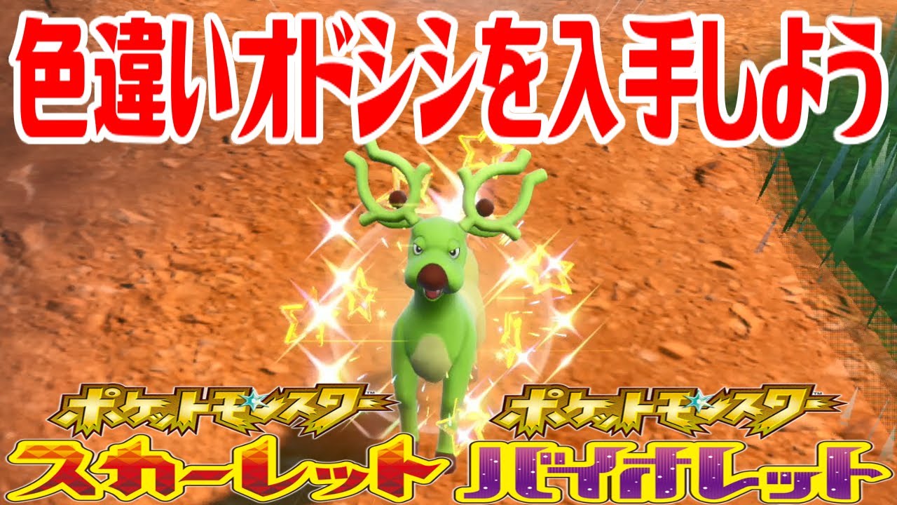 【ポケモンSV】色違いオドシシを入手しよう【ポケットモンスター スカーレット・バイオレット】Pocket Monsters