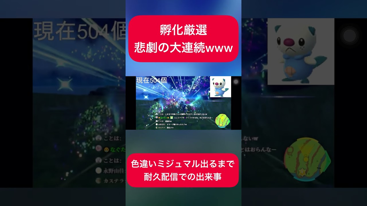 【孵化厳選】悲劇の大連続www色違いミジュマル耐久配信での出来事　#ポケモンsv #色違い厳選 #ミジュマル #耐久配信 #shorts