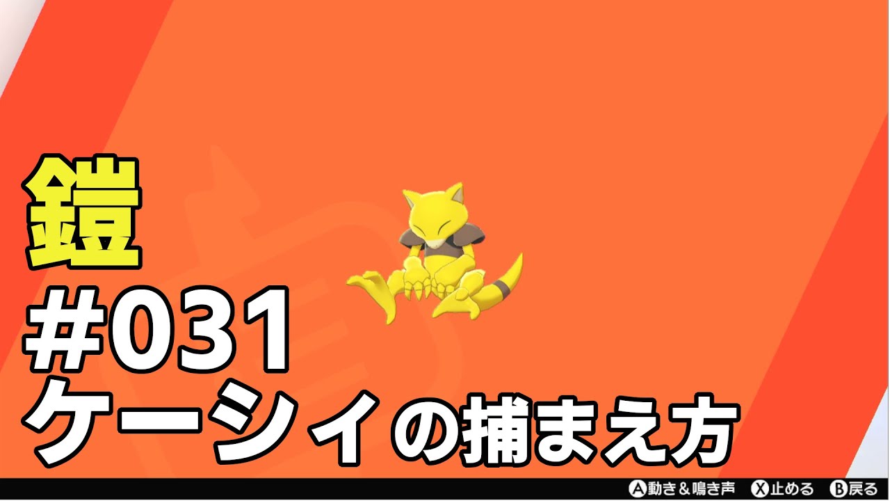 ケーシィを探している方に見てほしい動画