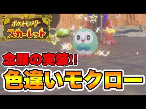57boxで念願の色違いモクローを出して超発狂する男　【ポケモンSV】