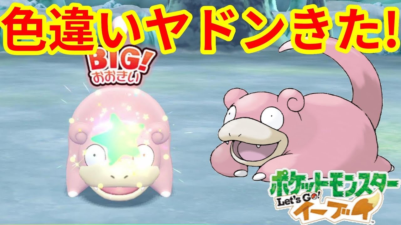 色違いヤドンは薄めの色！？リベンジ成功！【ポケモンLet'sGO！イーブイ】