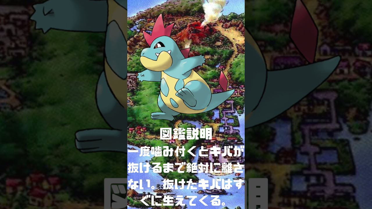 Ｎｏ．0159 アリゲイツ【ポケモン図鑑】 #shorts   #ポケモン　#pokemon