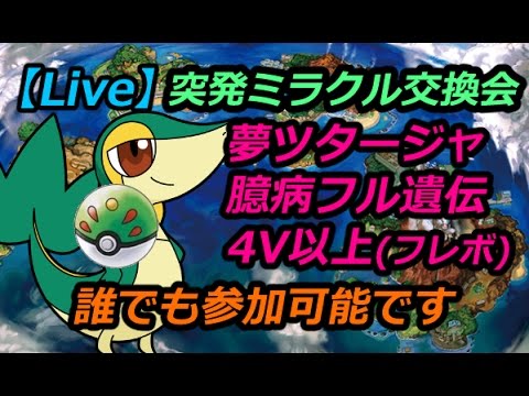 ※個人的神回ミラクル配信動画【夢ツタージャ】