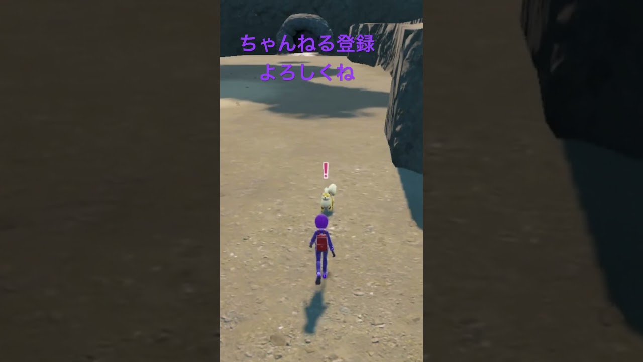 色違いガーディ、かわいいねおはよう #ポケモン #ポケモンsv #色違い #pokemon #shiny #gameplay