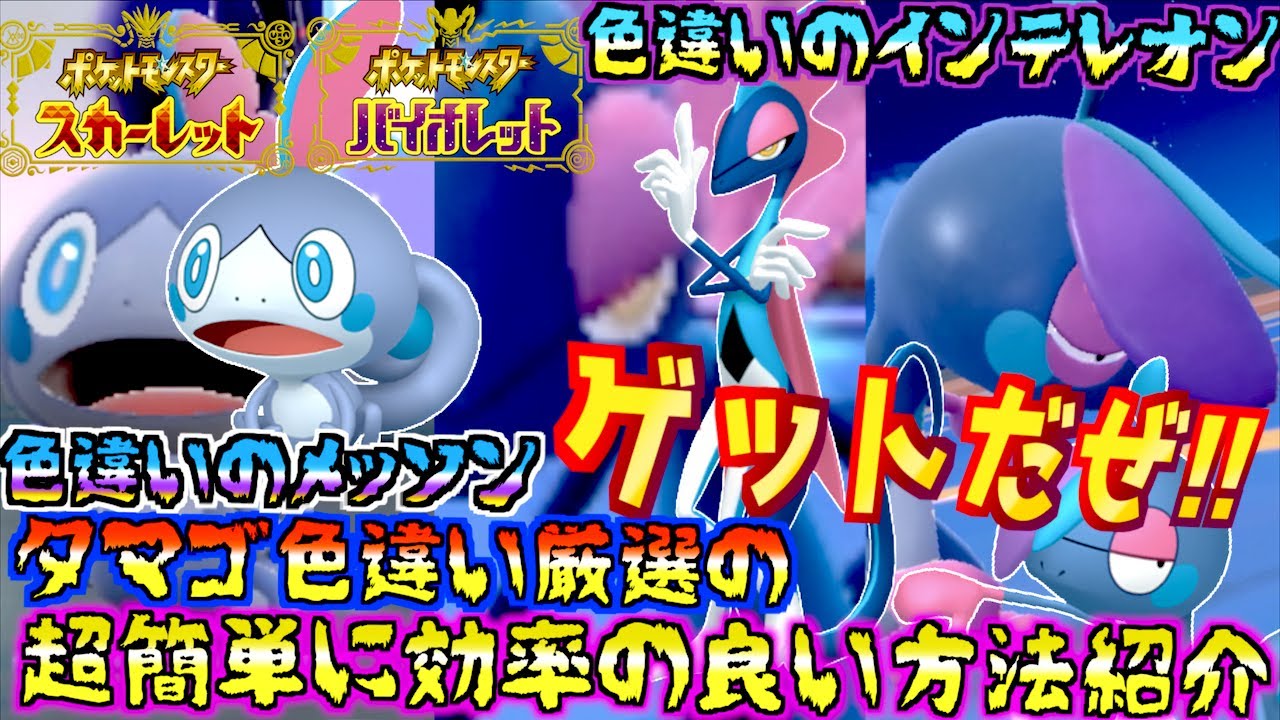 色違いのメッソンをタマゴからゲットしてきました。色違いのメッソン 色違いのインテレオンのゲット方法公開中【最強のインテレオン】【 ポケモンSV 】
