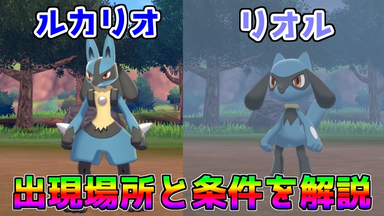 【ポケモン剣盾】ルカリオ、リオルの出現場所と出現条件を解説！！これで100％ゲットだぜ