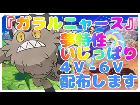 【ポケモン スカーレット】テラレイドで大活躍夢特性いじっぱりガラルニャース４Ｖ～6Ｖを99匹特大配布します！
