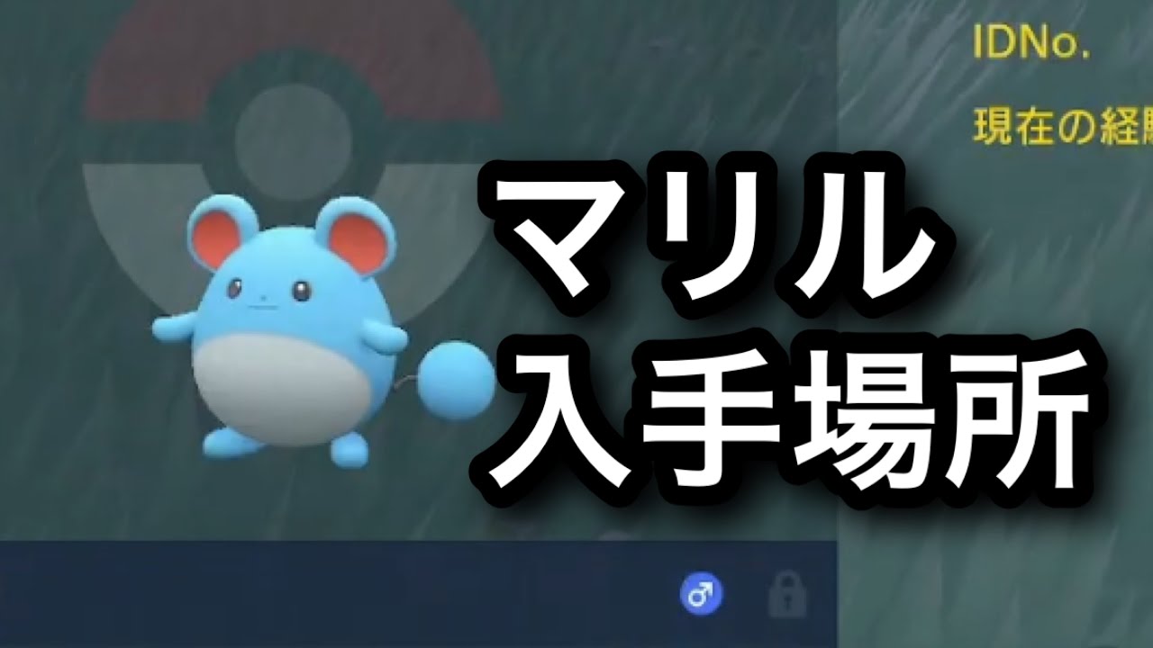 【SV】【速報】マリル入手場所