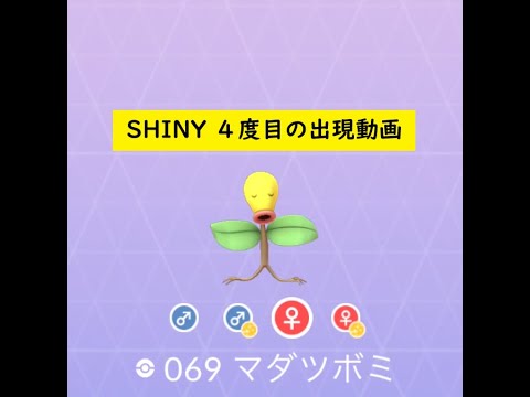 【ポケモンGO】色違い 出現40秒動画 ＃069 マダツボミ ☆shiny☆#Shorts