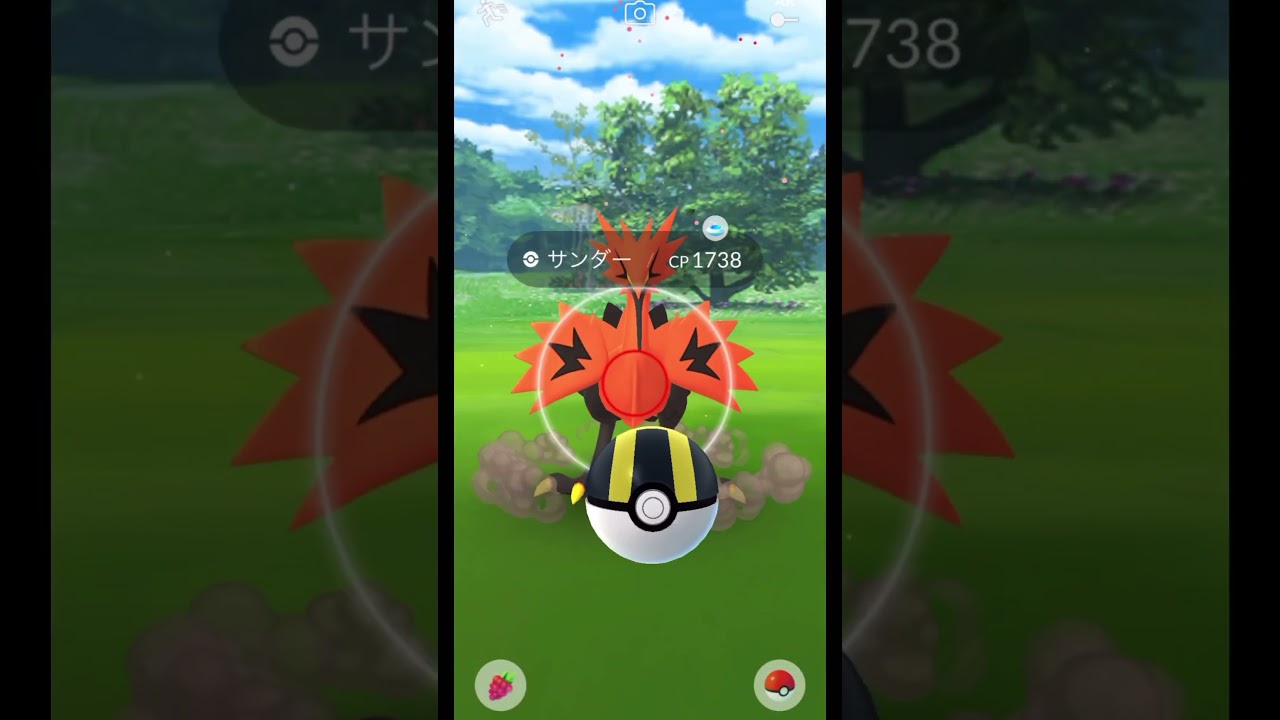 【ポケモンGO】久々のお散歩お香にてガラルサンダー登場！！ #ポケモンgo #ガラル三鳥