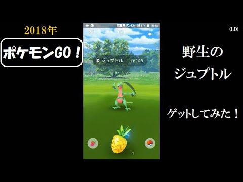 ☆ポケモンGO！☆ （野生のジュプトルをゲットしてみた！の巻）・2018年