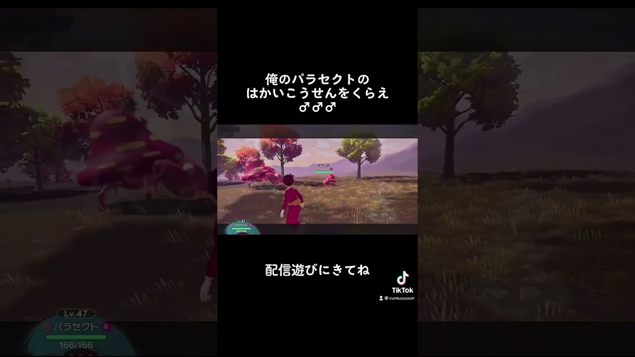 親分パラセクトによる蹂躙【ポケモンレジェンズアルセウス】