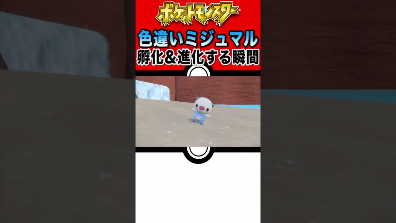 色違いミジュマルが孵化＆進化する瞬間。【ポケットモンスタースカーレット・バイオレット】