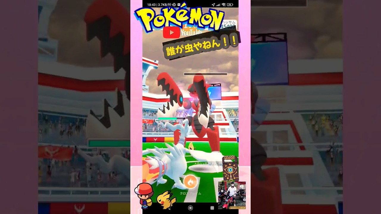 【Pokémon GO】GW43歳久々の校庭の虫GET！！（メガハッサム大暴れ）冷蔵庫の上に猫ちゃん！？