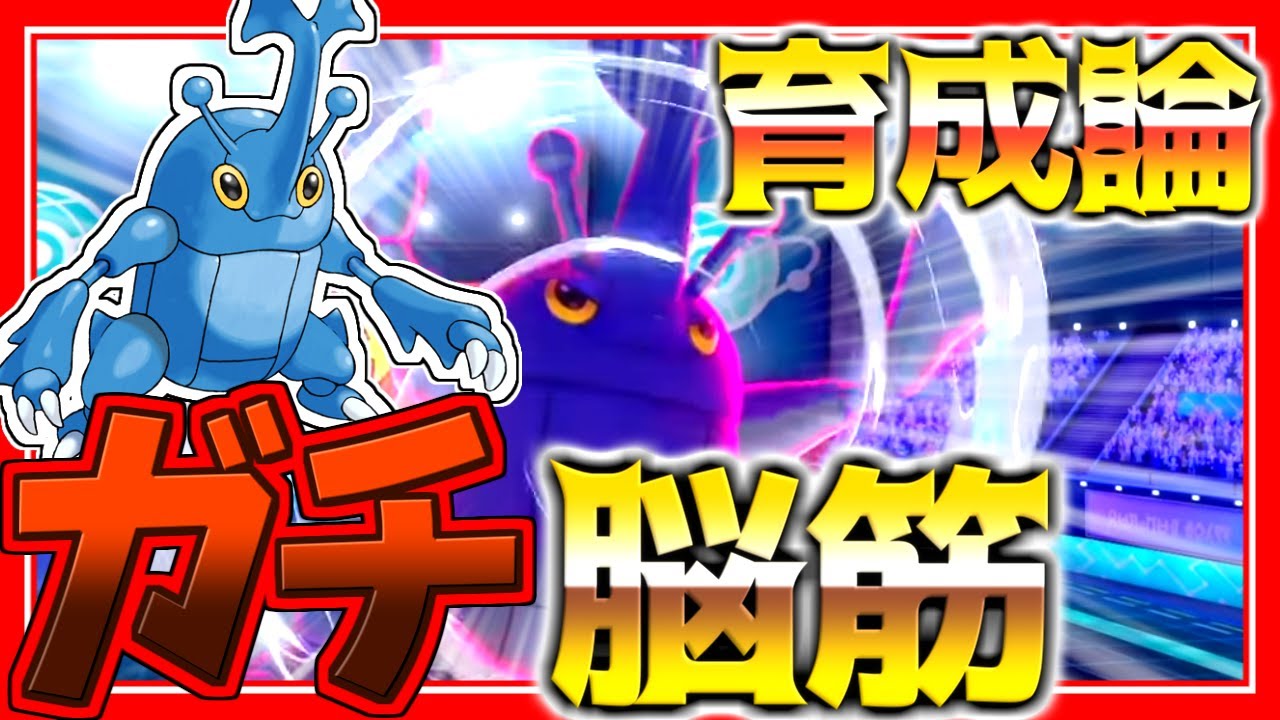 ヘラクロス育成論対策！持ち物性格、技構築、戦い方、徹底解説！【ポケモン育成論】【ポケモン剣盾】