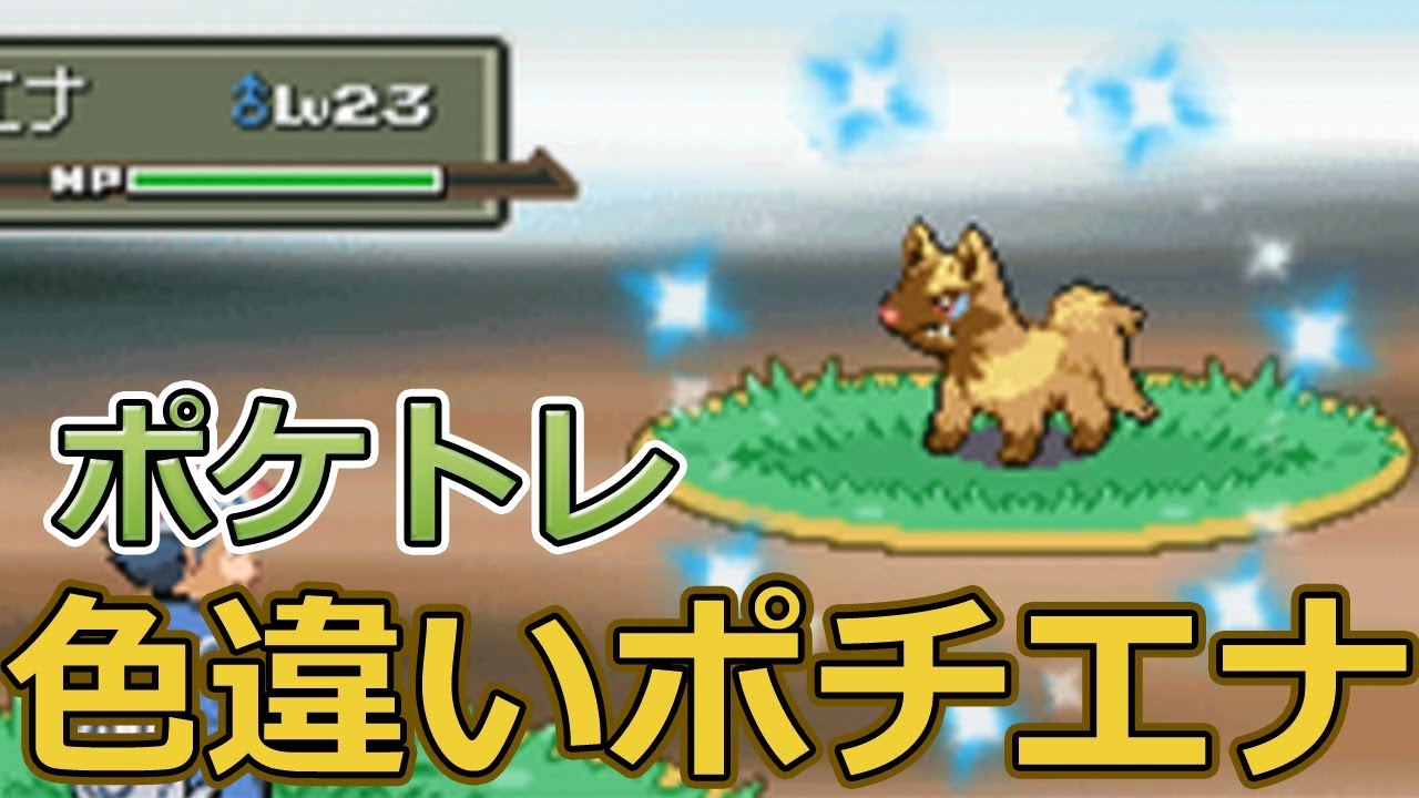 【ポケモンPt】ポケトレで色違いポチエナゲット！【ポケモンプラチナ】