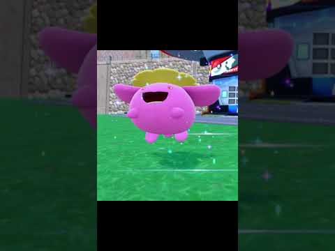 色違いハネッコ達 Shiny Hoppip #shorts  #pokemon #ポケモン #ポケモンsv #色違い