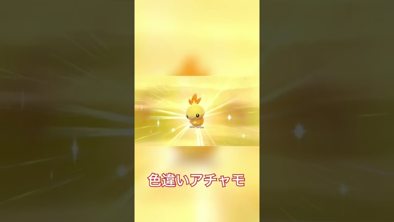 【ポケモン剣盾】色違いアチャモさん生誕動画【色違いポケモン】