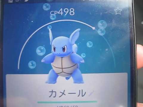 【ポケモンＧＯ野生でコンプ】 野生のカメール発見 INおさごえ民家園
