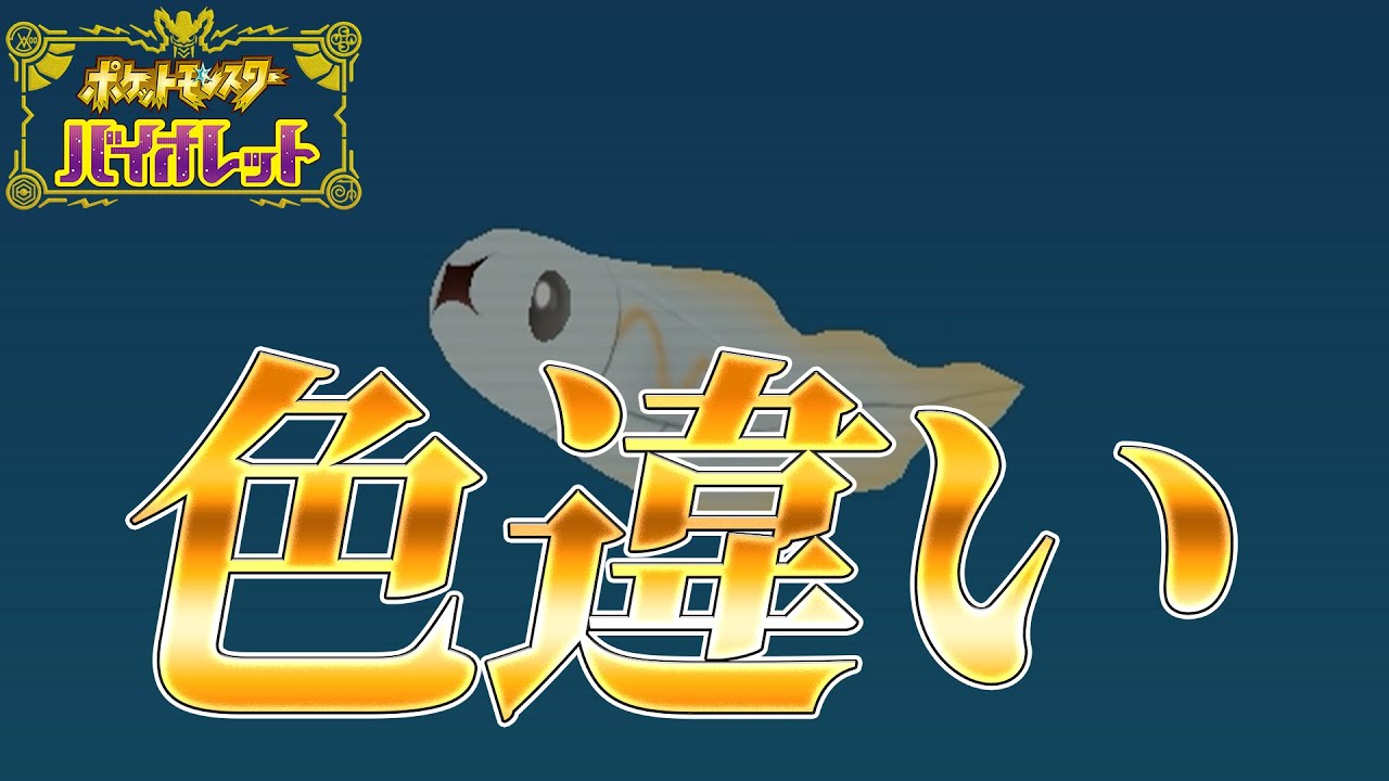 緊急でシビシラス色違い５匹いるから粘る【ポケモンスカーレットバイオレット】