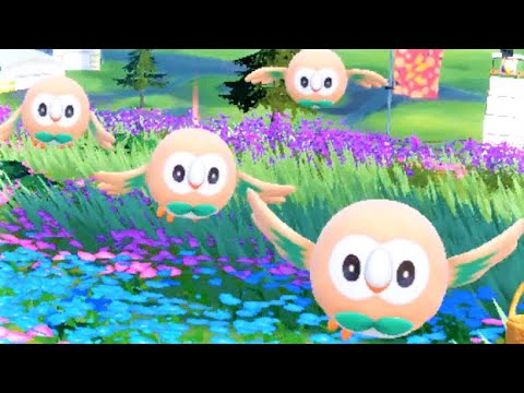 【可愛い】モクローちゃんが近寄ってくるだけの動画【ポケモンSV】