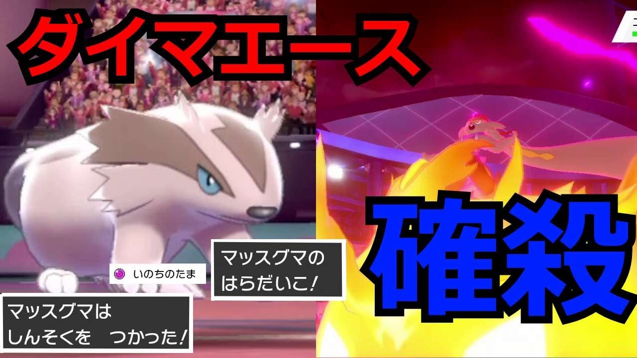ダイマエースも確殺！３タテできるマッスグマは誰にも止められない【ポケモン剣盾】