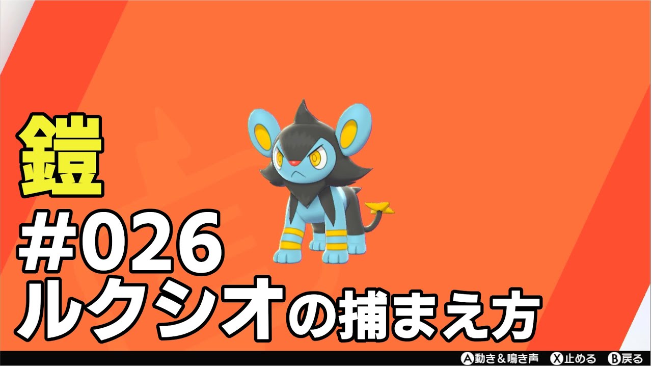 ルクシオを探している方に見てほしい動画