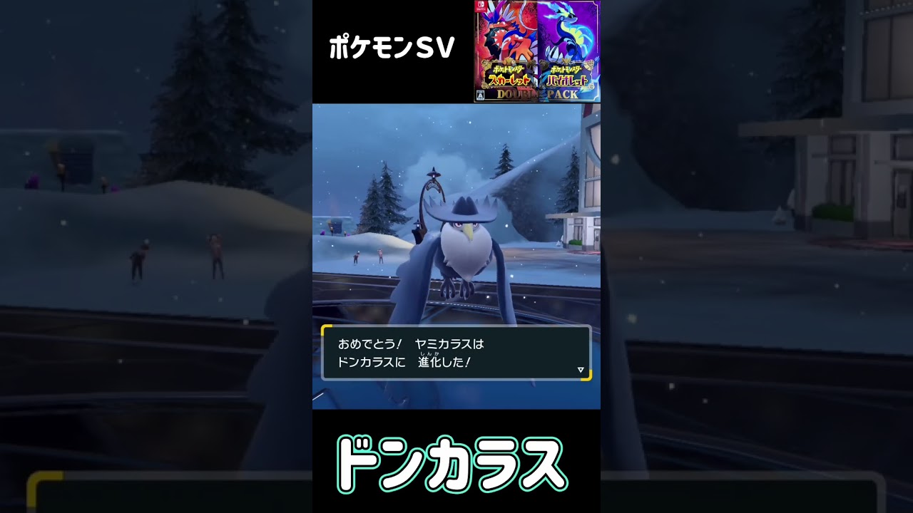 ヤミカラス進化　ドンカラス　ポケモンSV #pokemon
