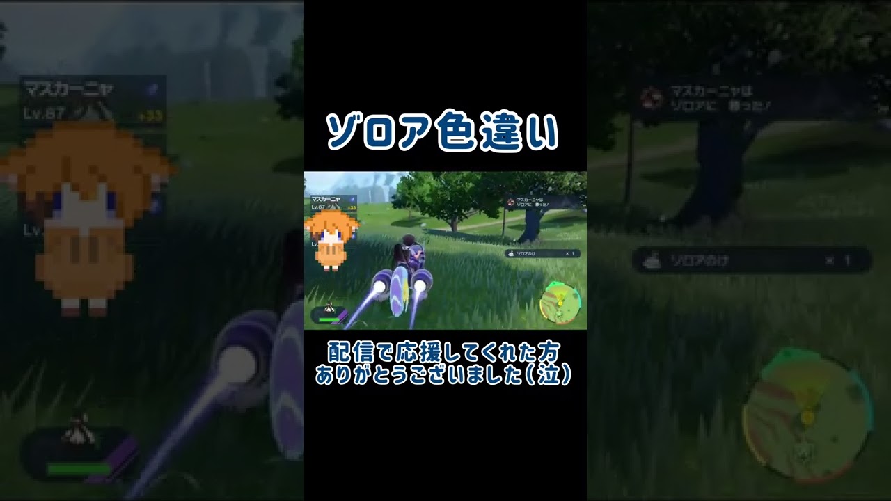 【ポケモンＳＶ】ゾロアの色違いがキター！