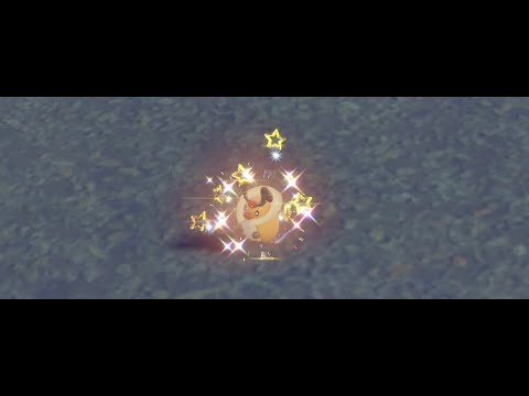 【ポケモンsv】コロボーシ色違い　証付き