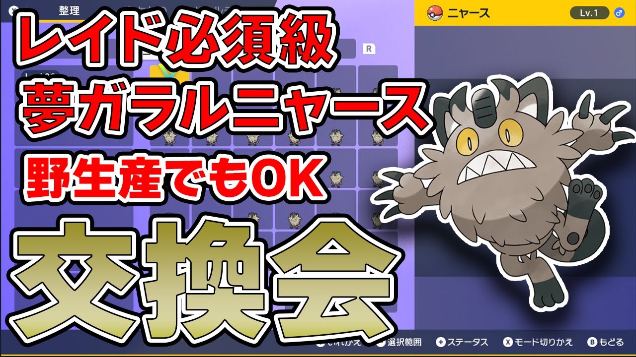 夢特性4v以上確定！いじっぱり夢ガラルニャース交換会！だれでも参加可能！【#ポケモンsv 】