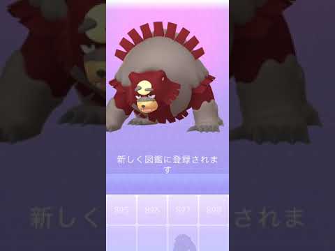 【ポケモンGO】色違いヒメグマ➡︎ガチグマ【コミュデイ2022年11月】 #shorts