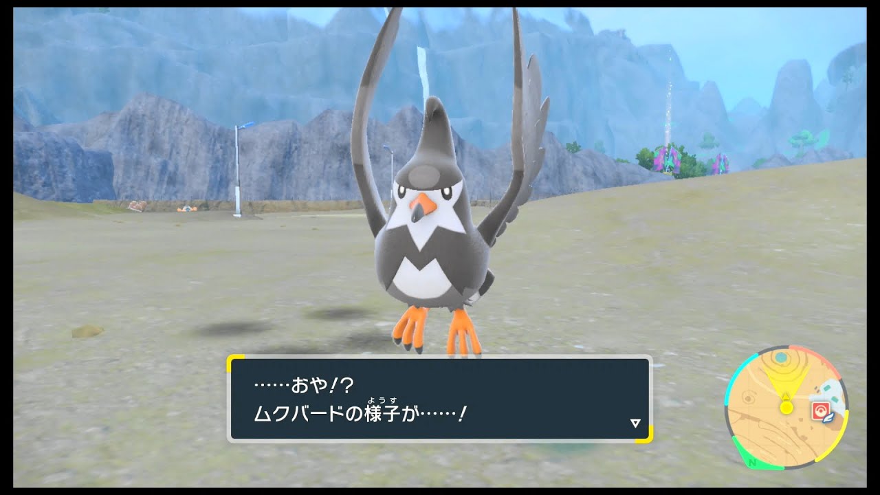 SVのポケモン　ムクバード レベル34で進化