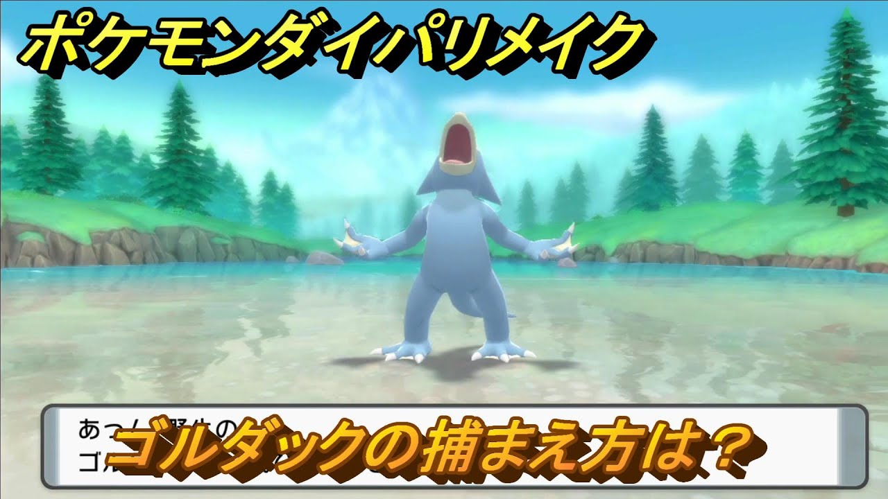 ポケモンダイパリメイク　ゴルダックの捕まえ方は？出現場所は？　最新版【ブリリアントダイヤモンド・シャイニングパール】