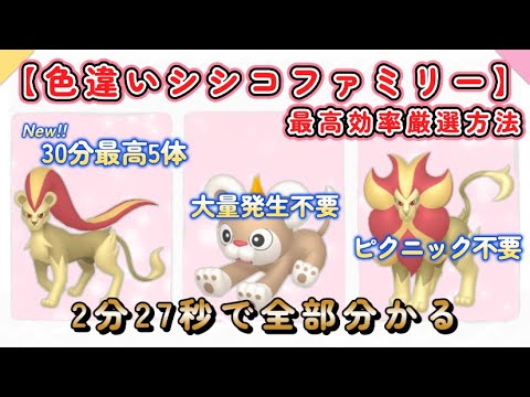 色違いシシコファミリー最高効率厳選約2分 #ポケモンsv #シシコ #カエンジン♂ #カエンジン♀ #大量発生無し #ピクニック無し #最高効率