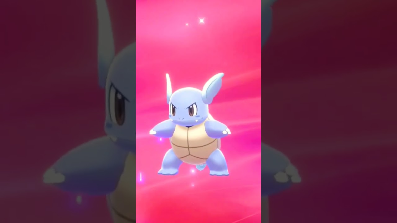 ゼニガメ進化💕【カメール】